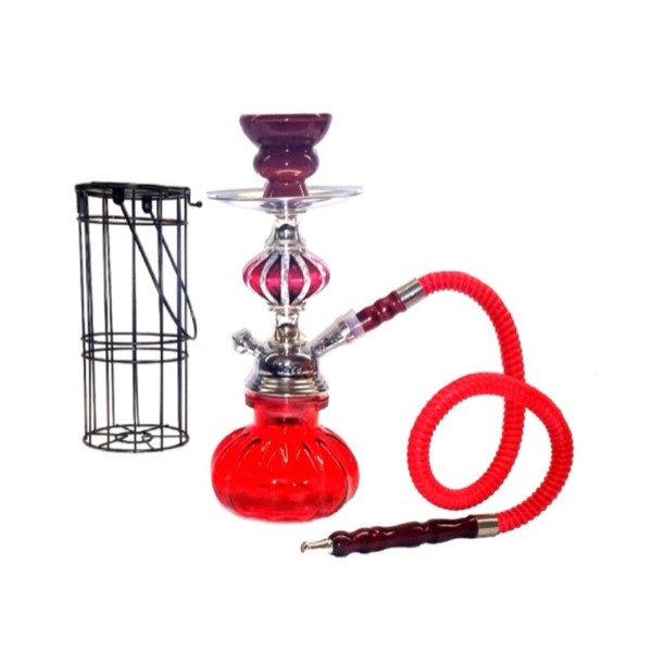 Zebra X4 1 Hose with Cage Hookah