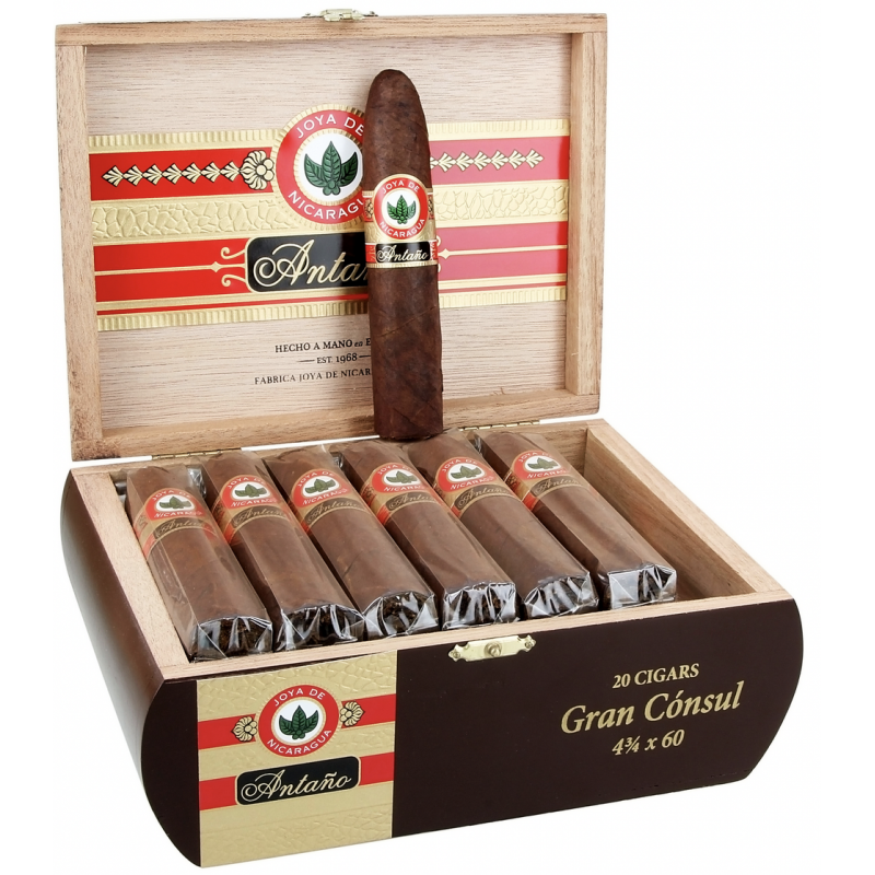 JDN Antano Gran Consul 20/Bx