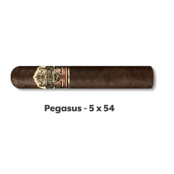 Ashton VSG Pegasus 20/BX