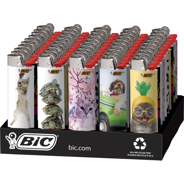 BIC Lighter Designs