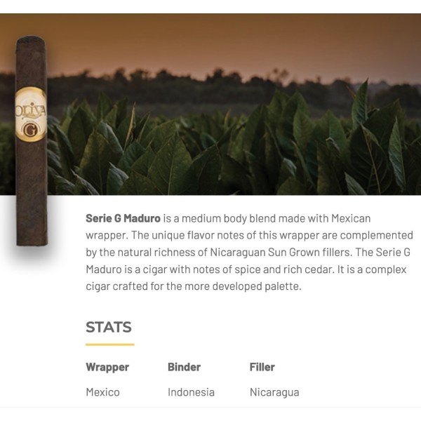 Oliva Serie G Maduro 48 Special G 24/BX