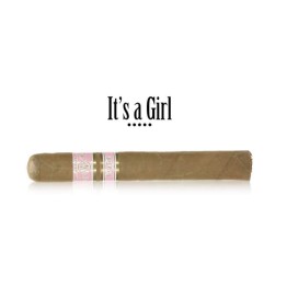 Rocky Patel Its a Girl 20/BX