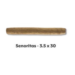 Ashton Connecticut Senorita 10/10PK 100CT