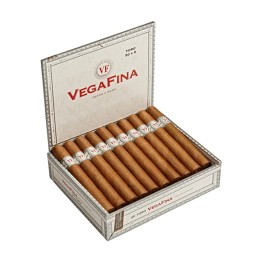 Vega Fina Robusto 20/BX