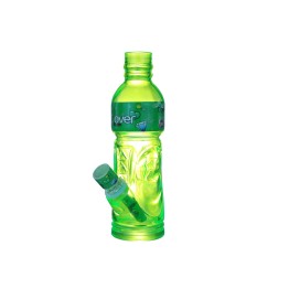 Glass Bottle WP (WPD-394)