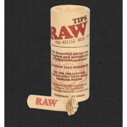 Raw Rose Pre-Rolled Tips 6/BX