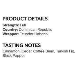 Ashton Symmetry Prestige 25/BX