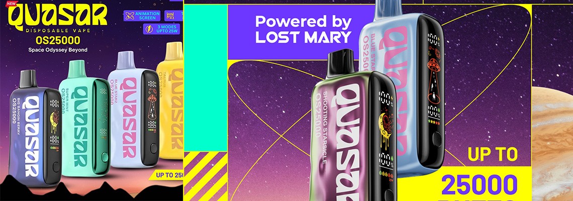 Lost Mary